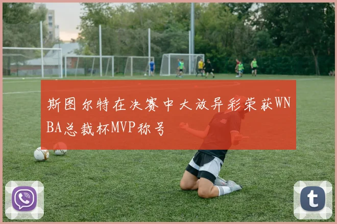 斯图尔特在决赛中大放异彩荣获WNBA总裁杯MVP称号
